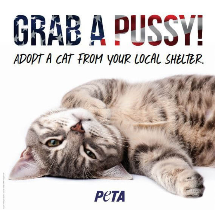 Peta Grab A Pussy billboard