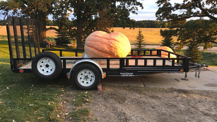 Pumpkin paddle