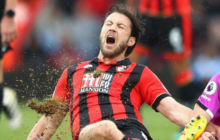 Harry Arter