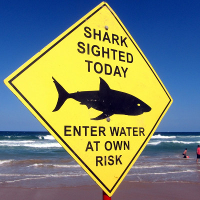 Shark attack Australia