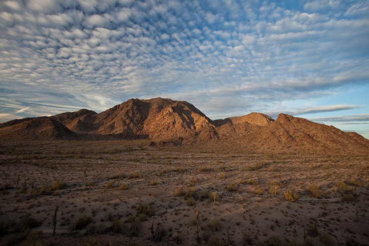 Sonoran Desert