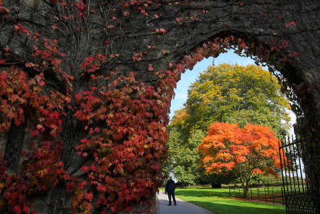 Autumn colour Britain UK