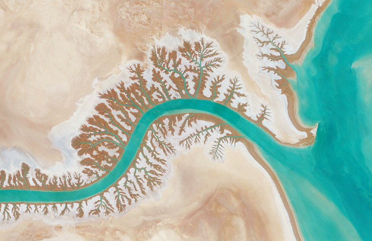 Daily Overview aerial satellite photos DigitalGlobe