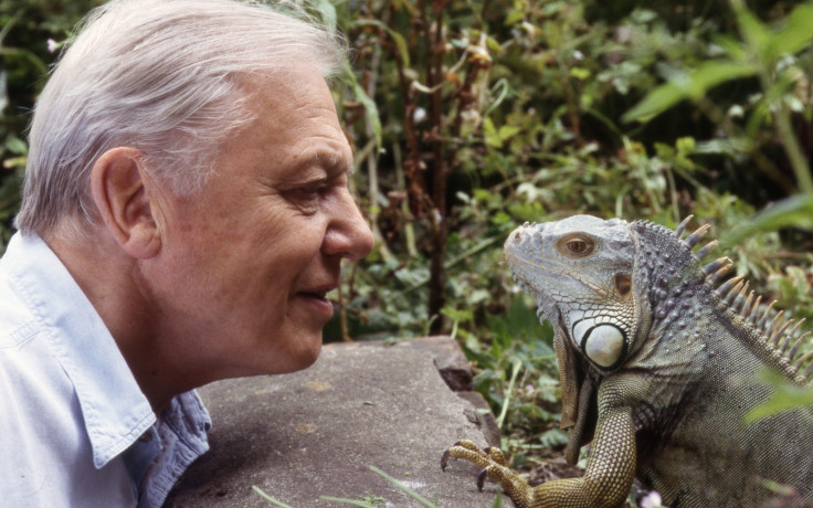 david attenborough