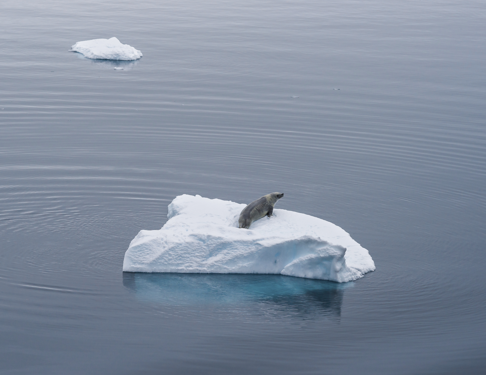 Antarctica 