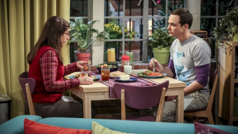 Big Bang Theory season 10 episode 7