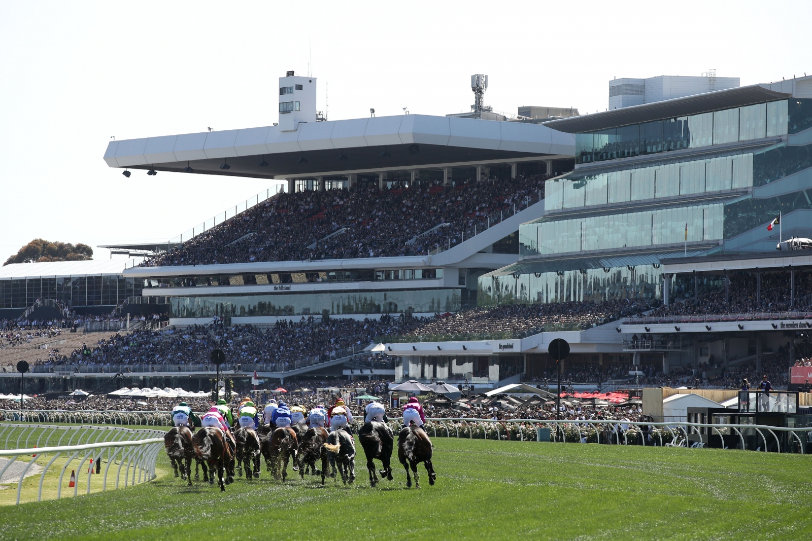 Melbourne Cup 2016 A preview of one of the highlights of the