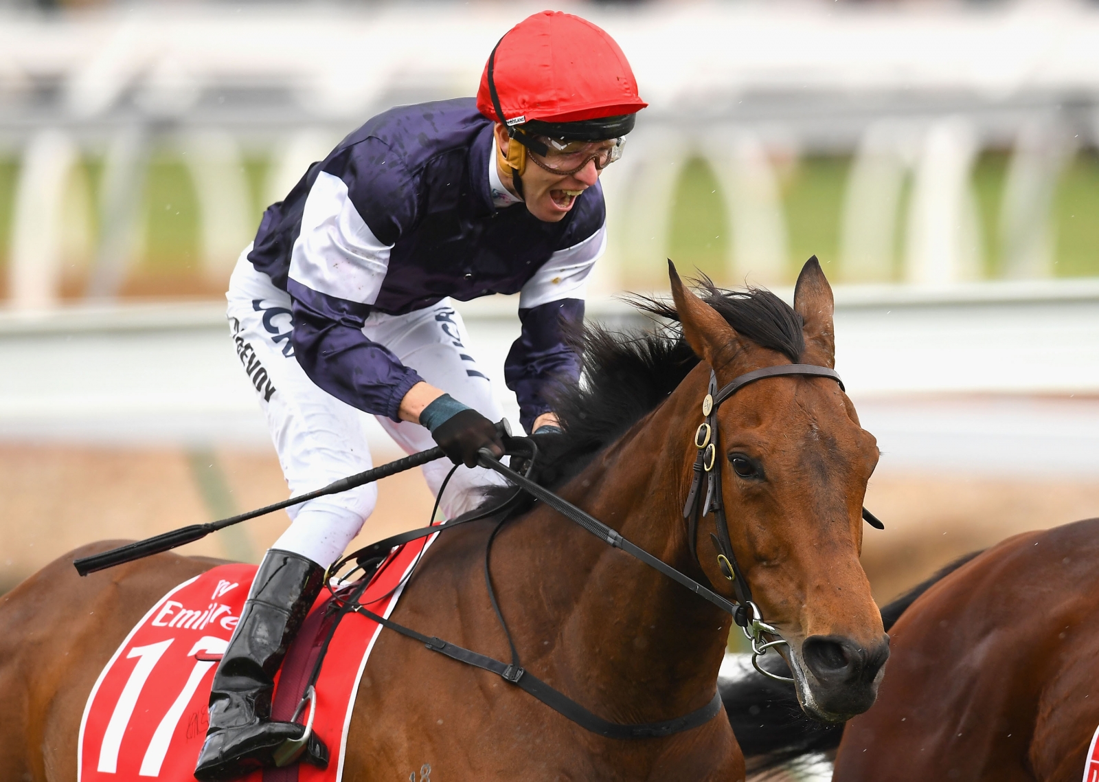 Melbourne Cup 2016: Kerrin McEvoy wins the two-mile handicap on ...