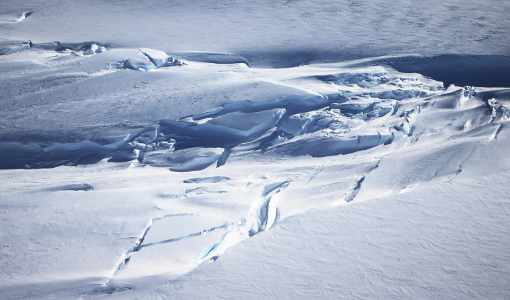 Operation IceBridge Antarctic sea ice