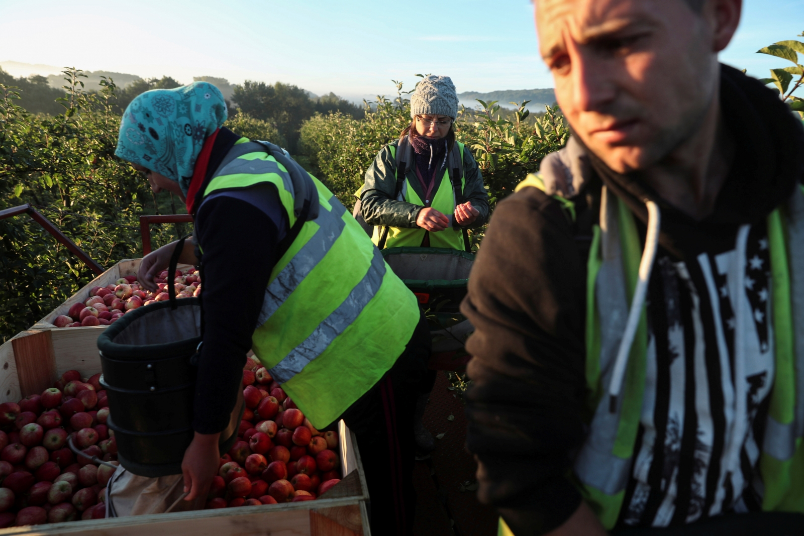 Brexit Impact: Labour Shortages Worst Since 2004 Across The UK Food ...