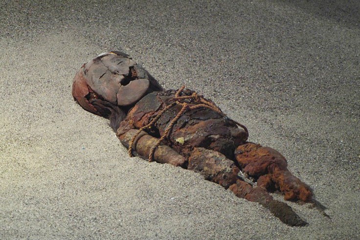 Chinchorro mummies