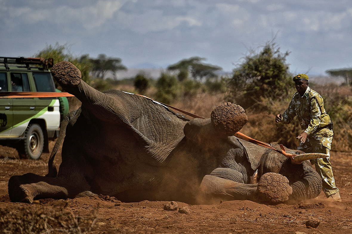 Amboseli National Park