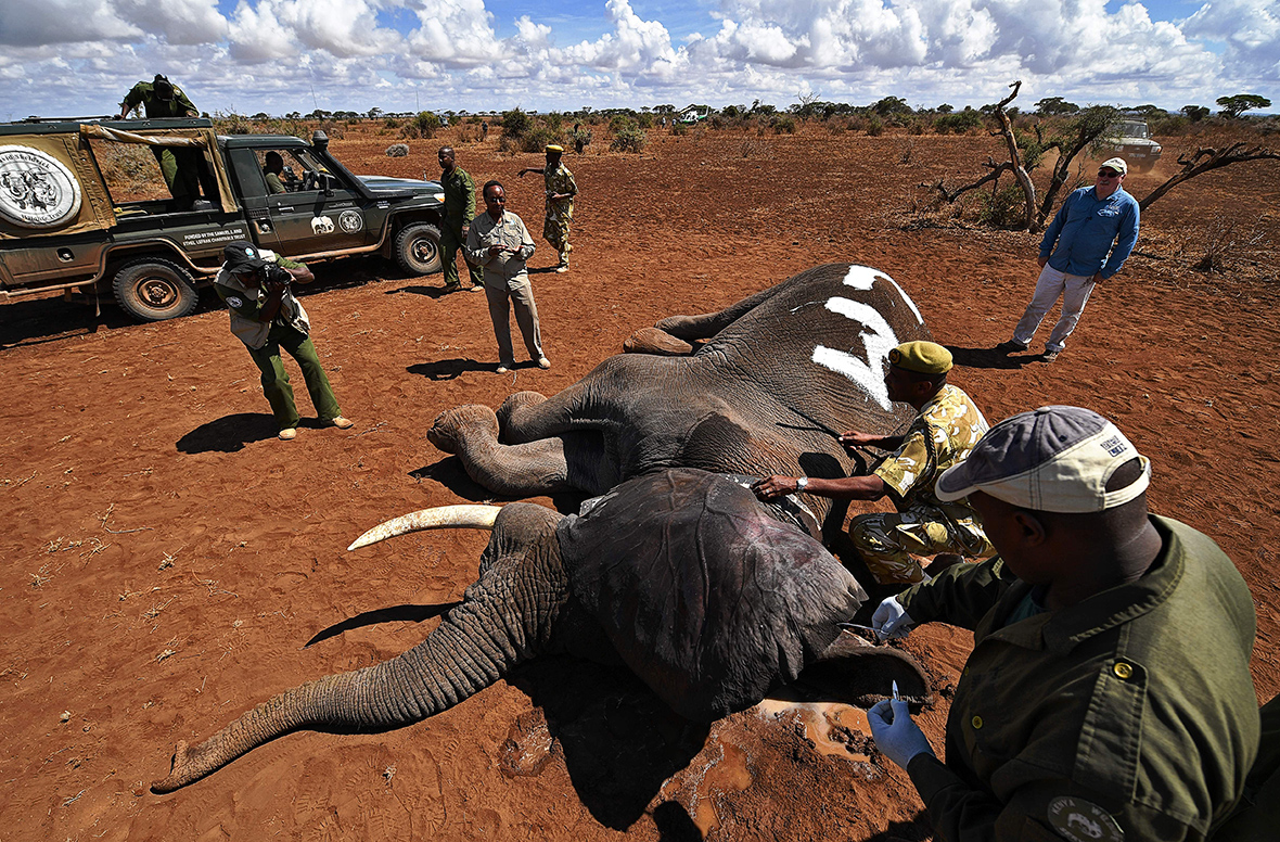 Amboseli National Park