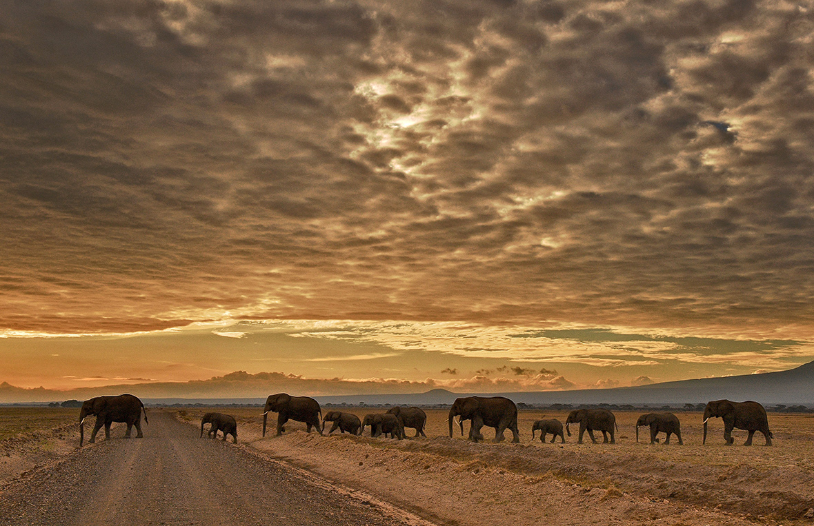 Amboseli National Park