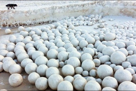 snowballs siberia