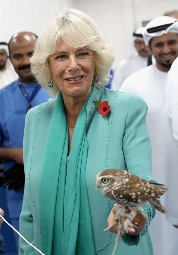 Duchess of Cornwall with a burrowing owl
