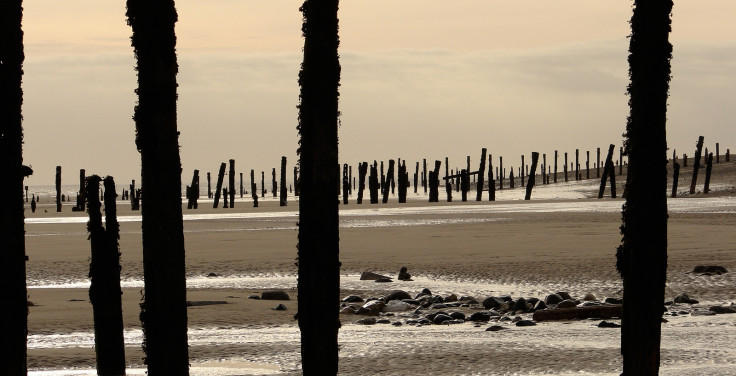 Beach groynes