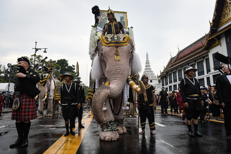  Thailand elephants 