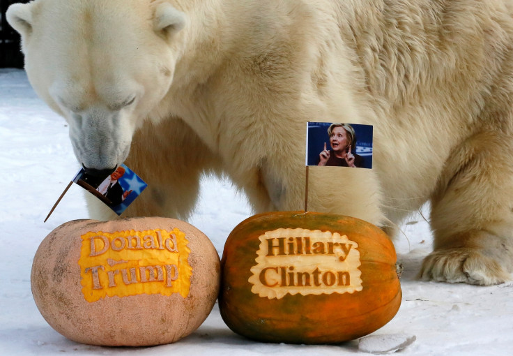Animals pick US election winner