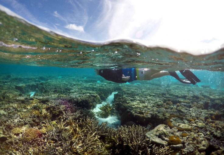 Great Barrier Reef 