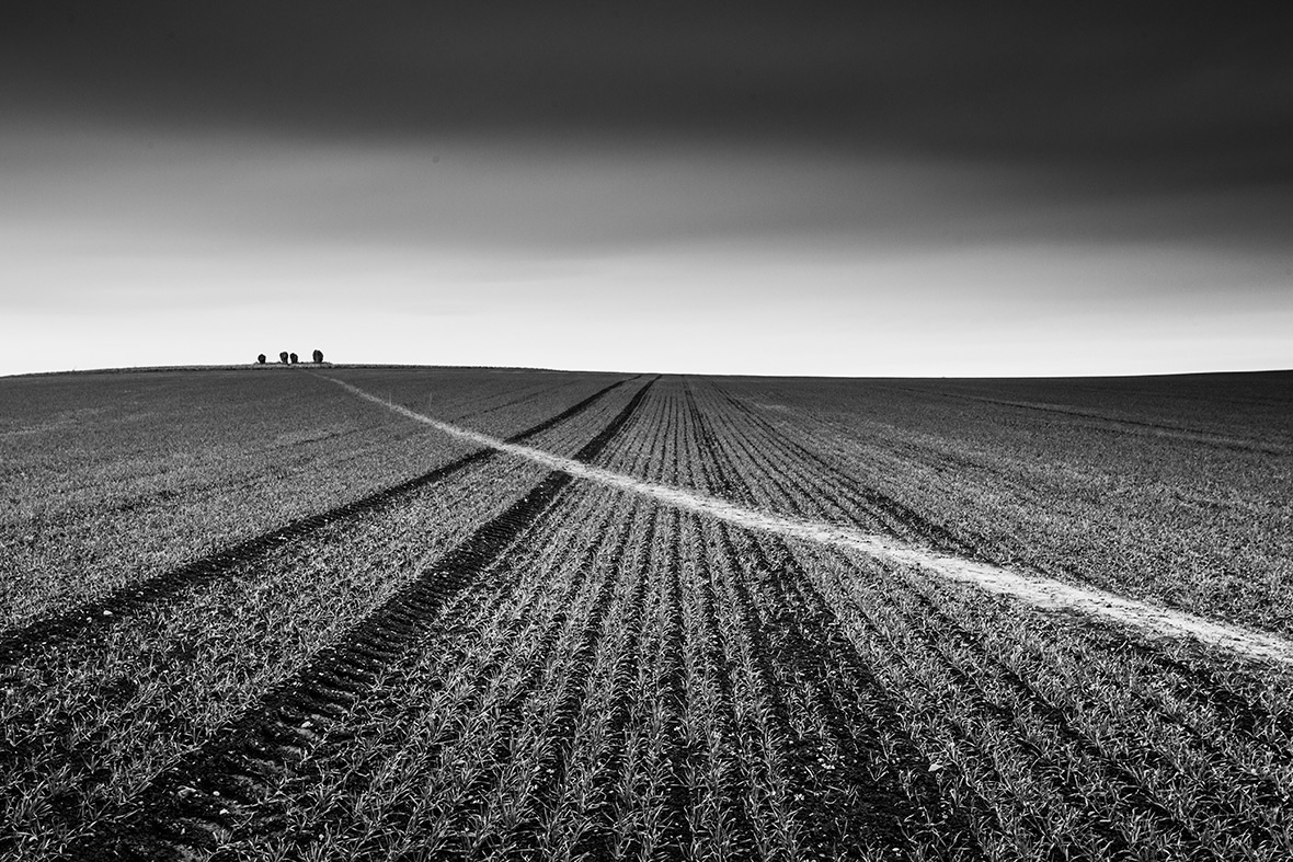 Landscape Photographer of the Year 2016