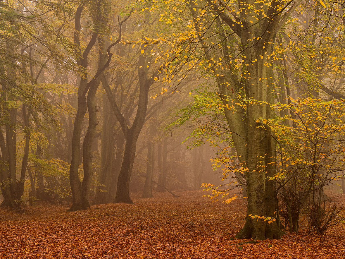 Landscape Photographer of the Year 2016: Book features photos of ...