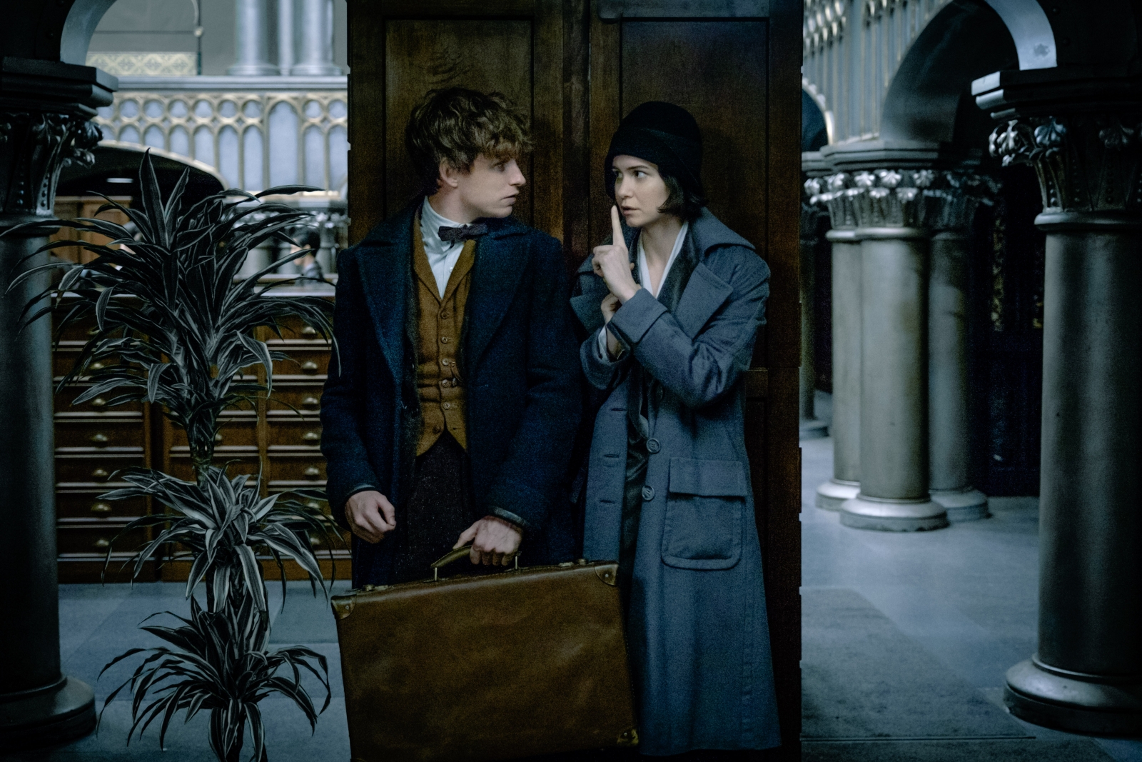 did newt scamander love leta lestrange