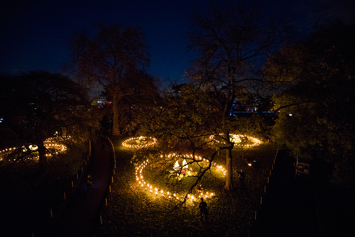 Kew Gardens Christmas 2016 illuminations