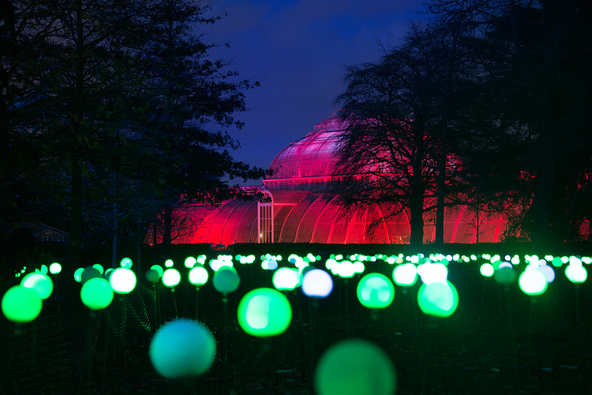 Kew Gardens Christmas 2016 illuminations