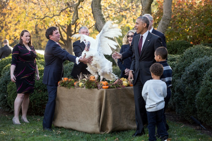 Obama, Thanksgiving