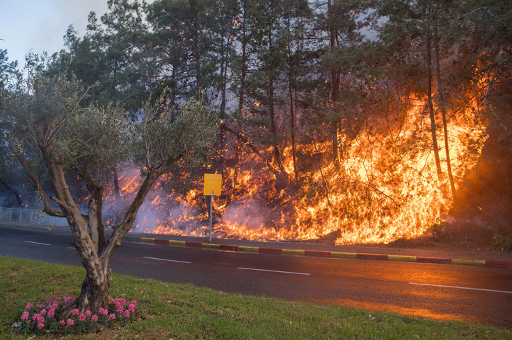 Israel fires