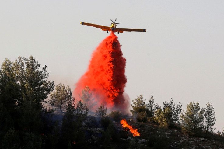 Israel wildfire