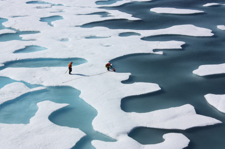 Arctic sea ice