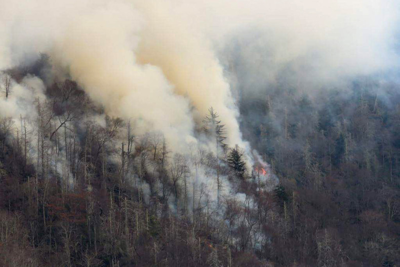 Tennessee fire