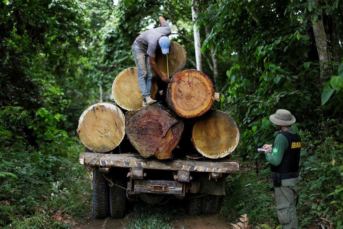 Brazil Amazon deforestation on the rise due to lack of funding for