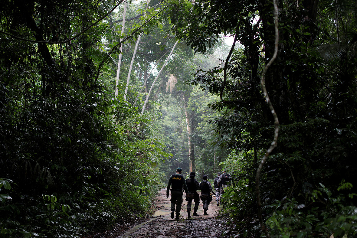 Amazon guardians rainforest deforestation