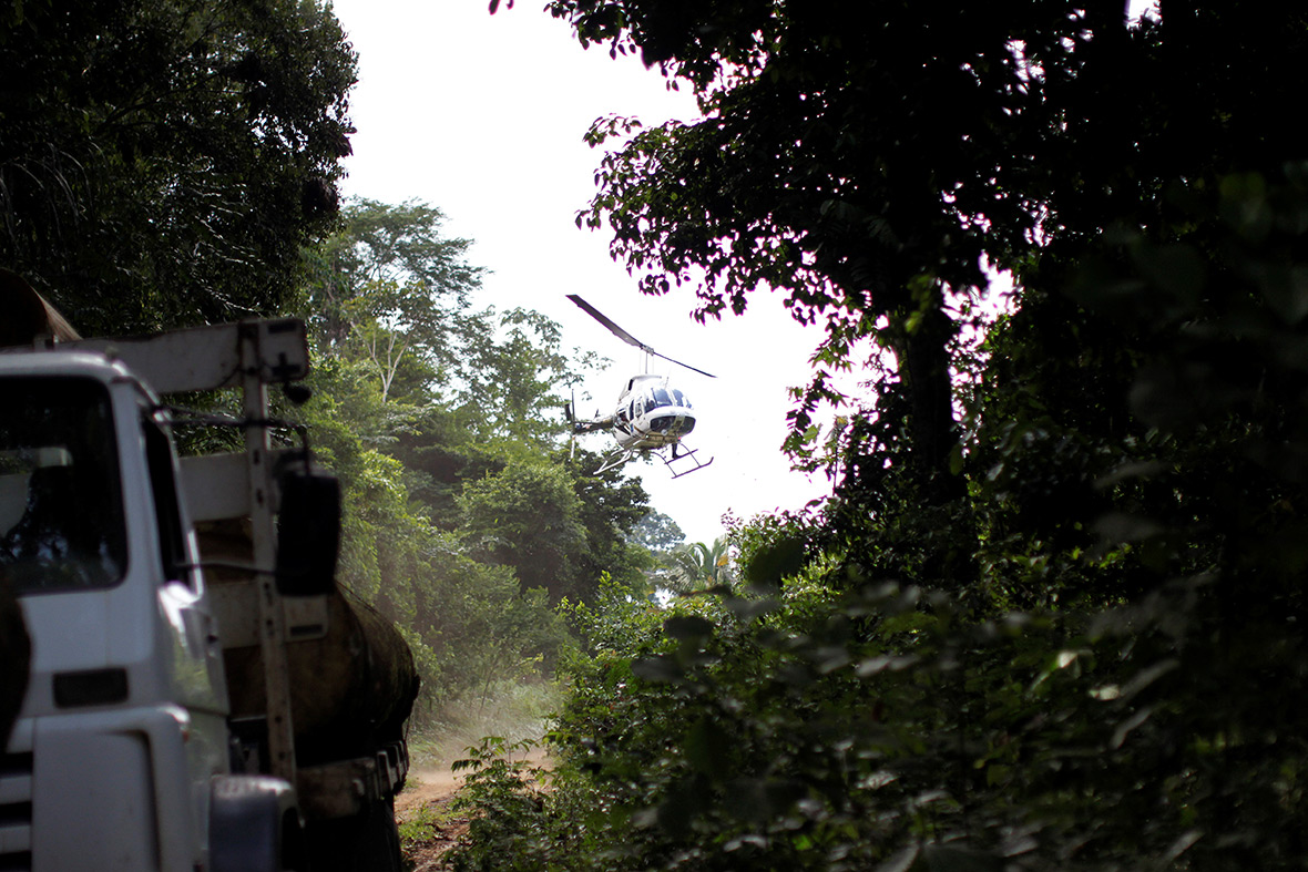 Amazon guardians rainforest deforestation