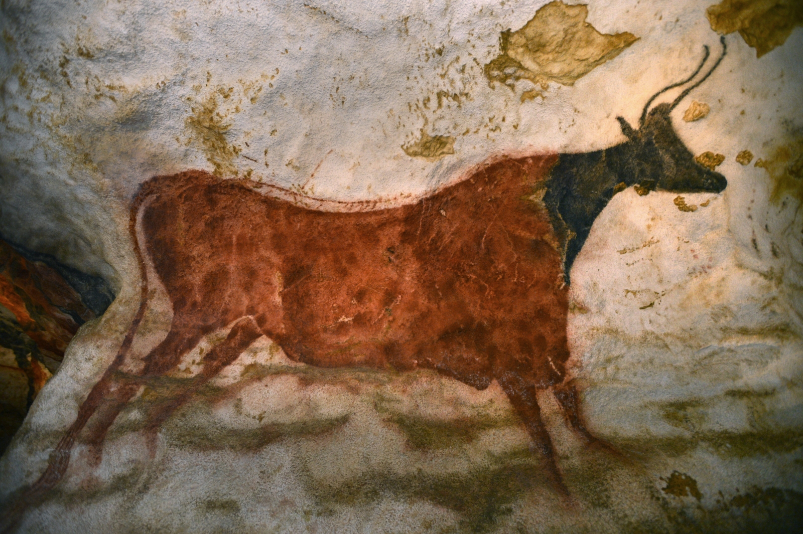 Lascaux caves New site sheds light on mysterious Palaeolithic art