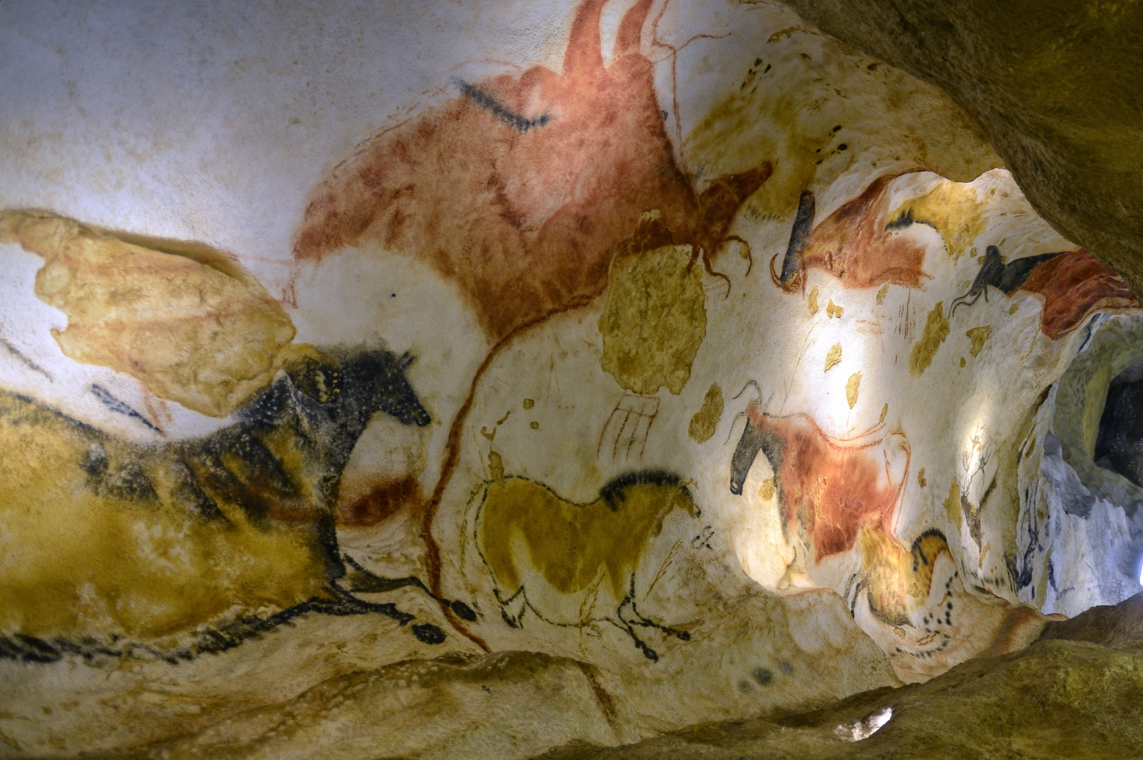 The Cave Paintings Of Lascaux Rsf Vrogue   Lascaux Cave Paintings 