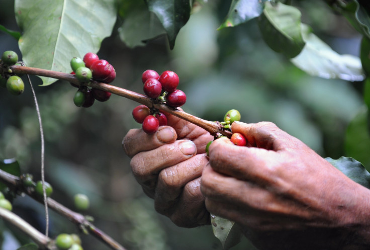 Coffee beans