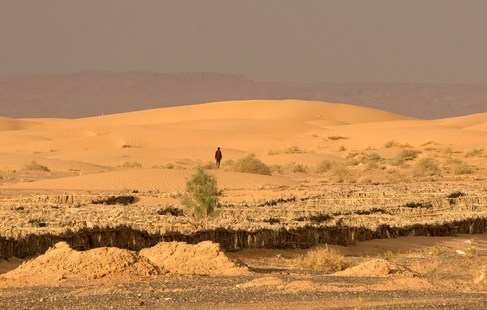 green-sahara-sahara-desert-received-ten-times-more-rain-11-000-years-ago
