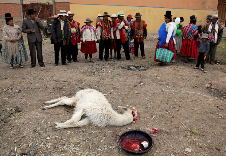 Bolivia drought