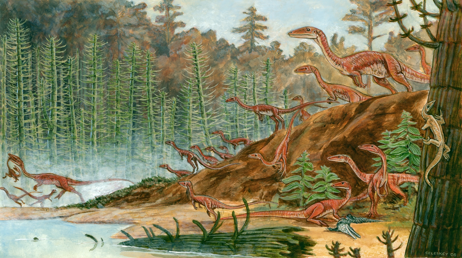 Организмы древних времен. Целофизисы мезозойской эры. Триасовый период Целофиз. Динозавр карлик. Целофизисов.