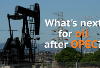 What is next for oil prices after OPEC? What is next for oil prices after OPEC?