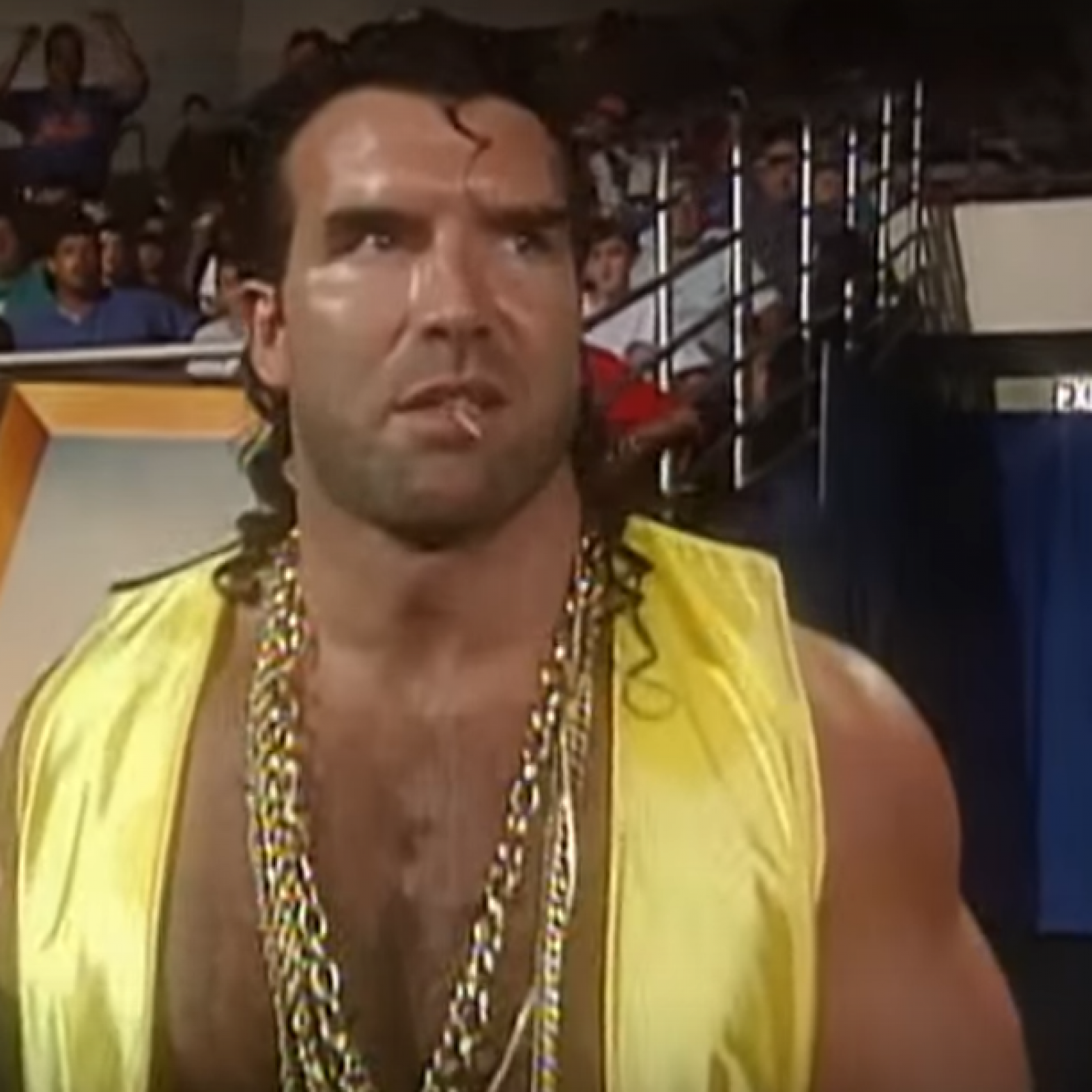 Blade Hart Razor Ramon Razor Ramon's Instagram, Twitter & Facebook on IDCrawl