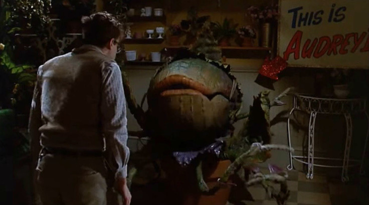 Little Shop Of Horrors