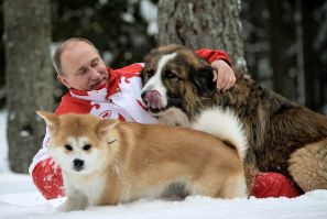 Putin with dogs
