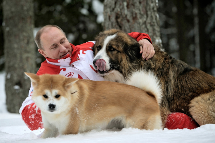 Putin with dogs