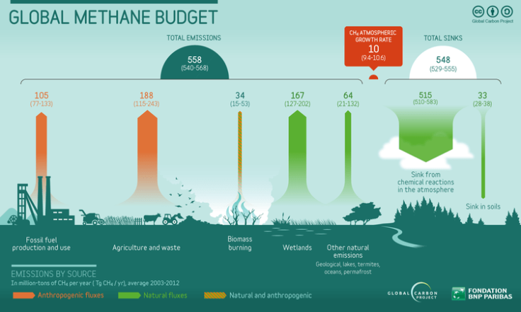 methane budget