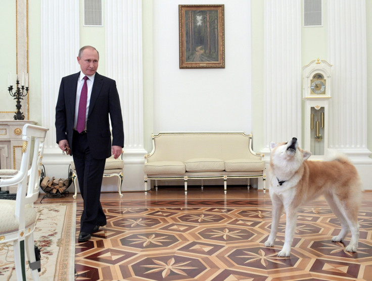 Vladimir Putin dog diplomacy